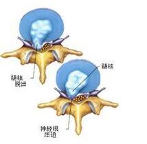 ��׵����ͻ������Ҫ��ζ���