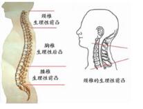 �����жϾ�׵�������س̶�